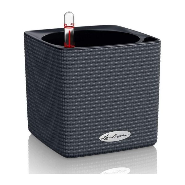 LECHUZA Cube Color 14 Self-Watering Planter